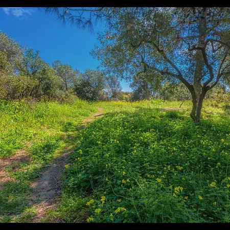 Seaside Stories Apartment *