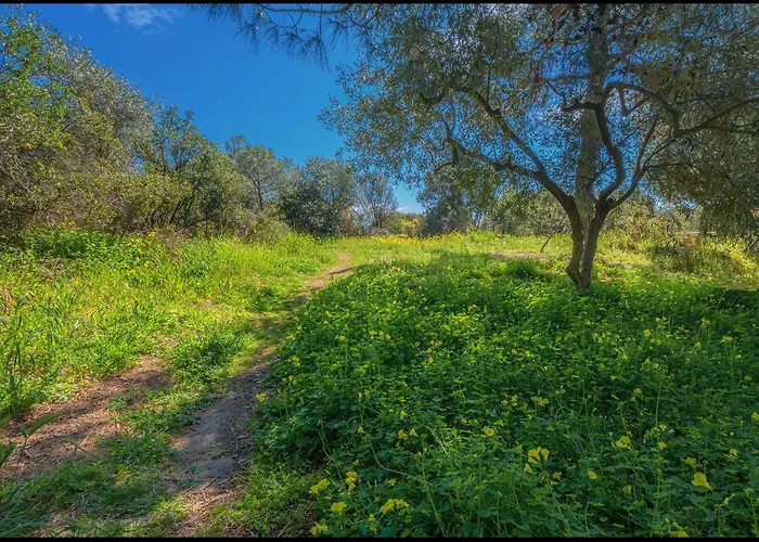 Seaside Stories Apartamento *
